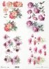 akwarelowe tła, kwiaty 3D, echinacea, peonia, warszawianka, kosmos pierzasty, dzika róża*Watercolour backgrounds, 3D flowers, echinacea, peony, feathery cosmos, wild rose
